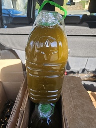 [Maroc] HUILE D'OLIVE - 5L