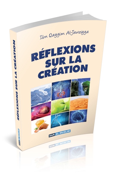 REFLEXIONS SUR LA CREATION