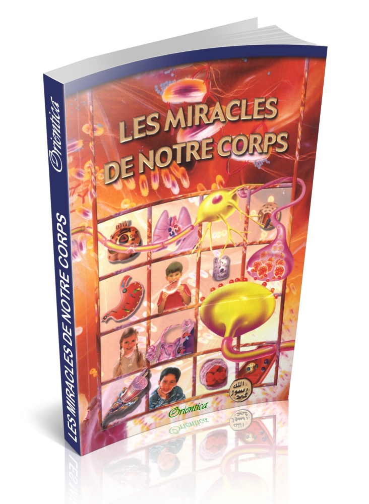 LES MIRACLES DE NOTRE CORPS